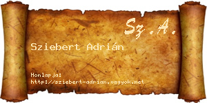 Sziebert Adrián névjegykártya